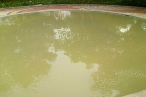 mustikapools